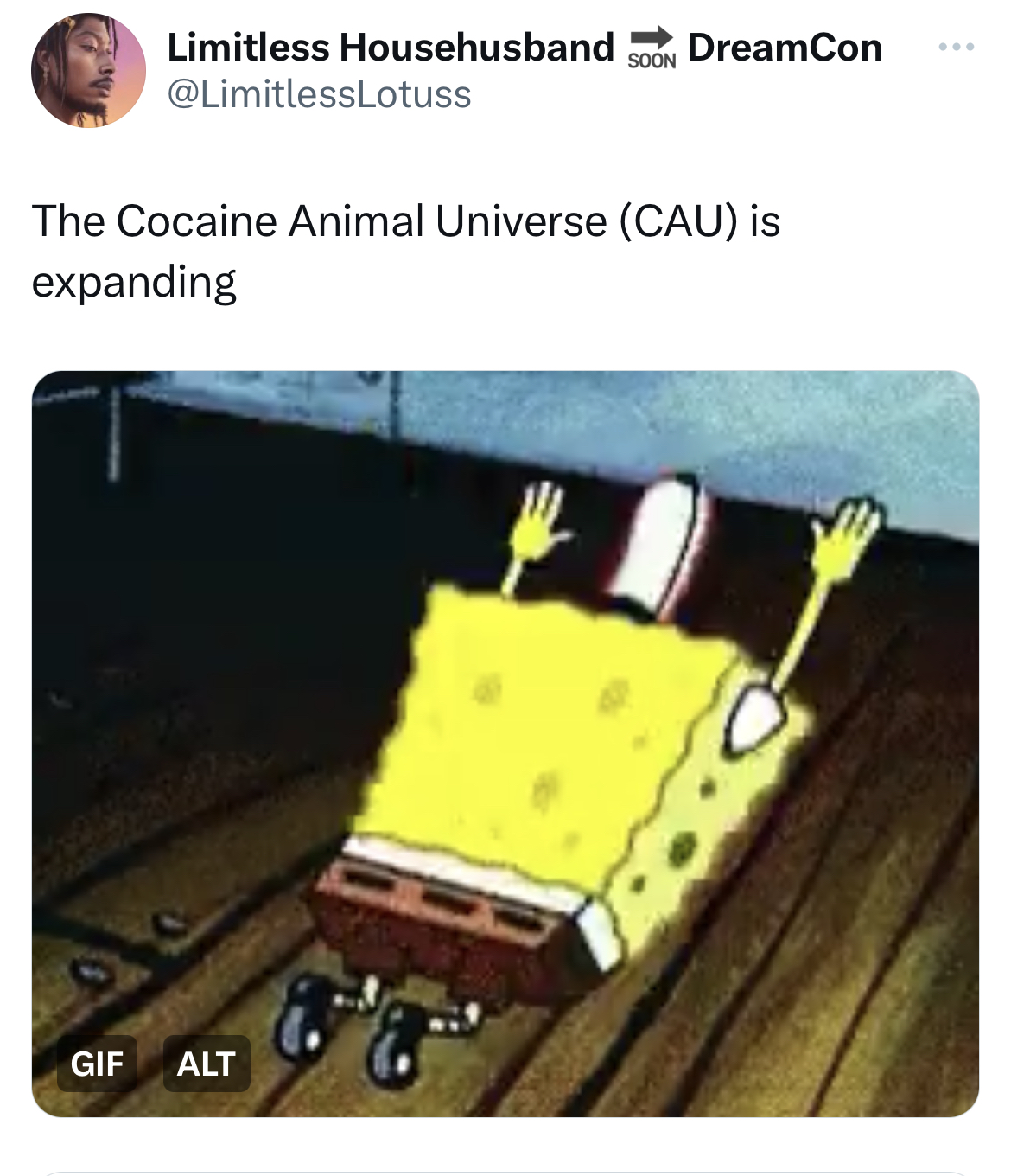 Ohio Cocaine Cat memes - spongebob and justin bieber - Limitless Househusband DreamCon Soon The Cocaine Animal Universe Cau is expanding Gif Alt
