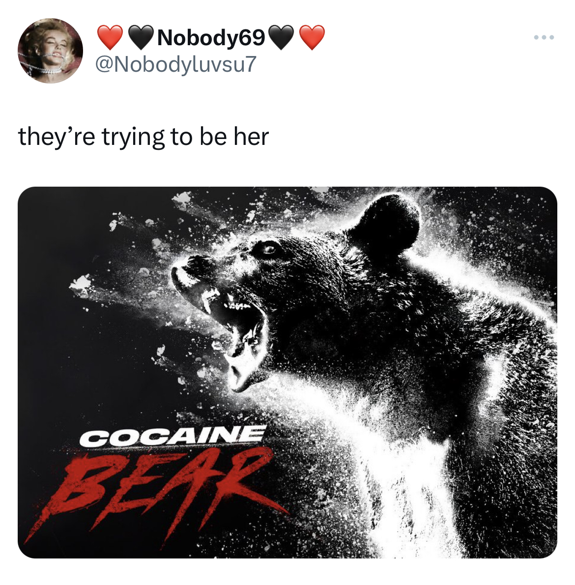 Ohio Cocaine Cat memes - cocaine bear story - Nobody69 they're trying to be her Cocaine www