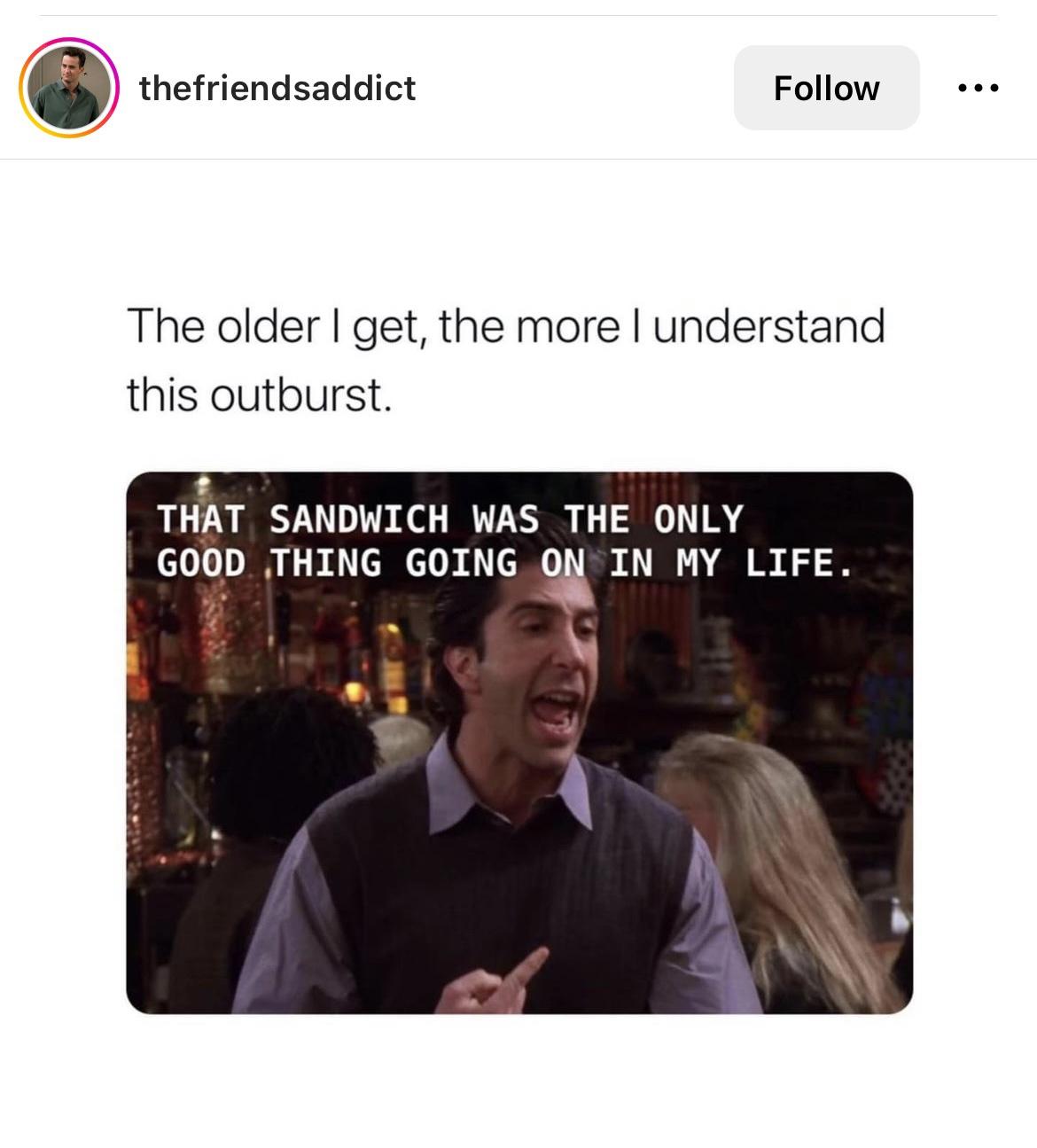 funny memes and pics - conversation - thefriendsaddict The older I get, the more I understand this outburst. That Sandwich Was The Only Good Thing Going On In My Life. ...
