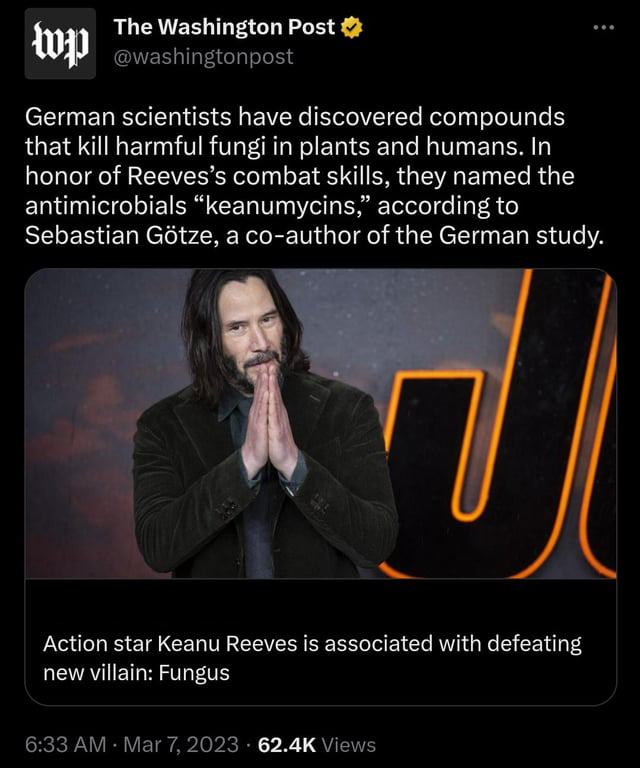 funny memes and pics - photo caption - The Washington Post wp German scientists have discovered compounds that kill harmful fungi in plants and humans. In honor of Reeves's combat skills, they named the antimicrobials "keanumycins," according to Sebastian