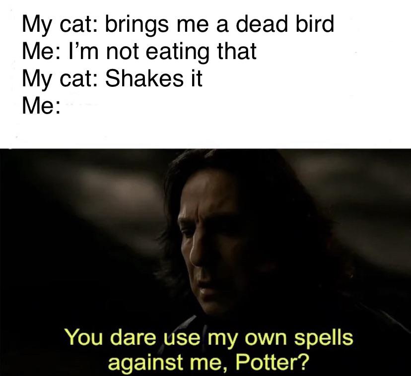 funny memes - photo caption - My cat brings me a dead bird Me I'm not eating that My cat Shakes it Me You dare use my own spells against me, Potter?