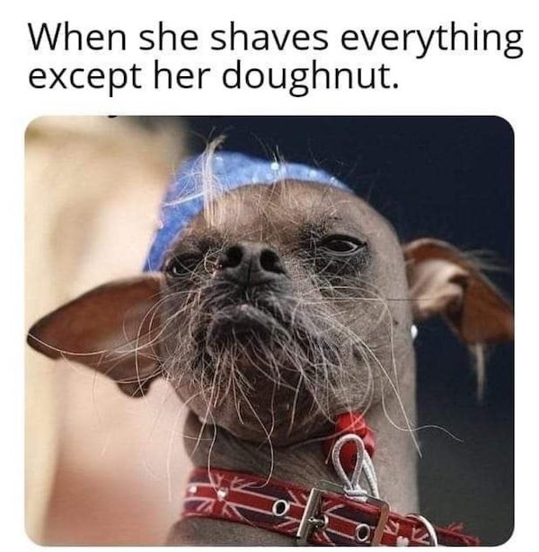 spicy sex memes - photo caption - When she shaves everything except her doughnut.