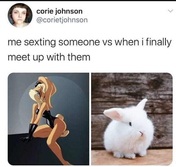 spicy sex memes - lola bunny - corie johnson me sexting someone vs when i finally meet up with them