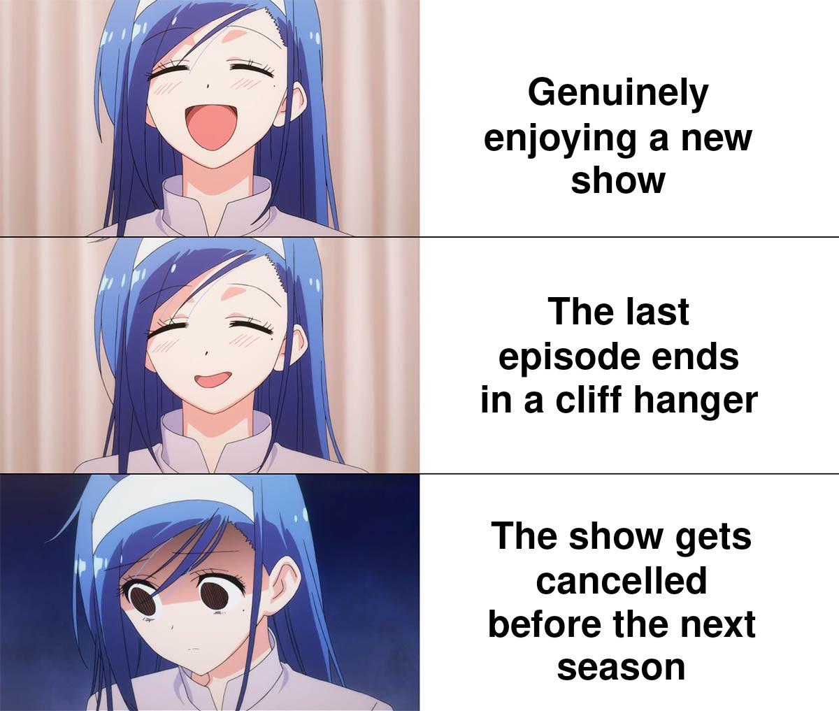 funny memes and pics - transfem memes - Genuinely enjoying a new show The last episode ends in a cliff hanger The show gets cancelled before the next season