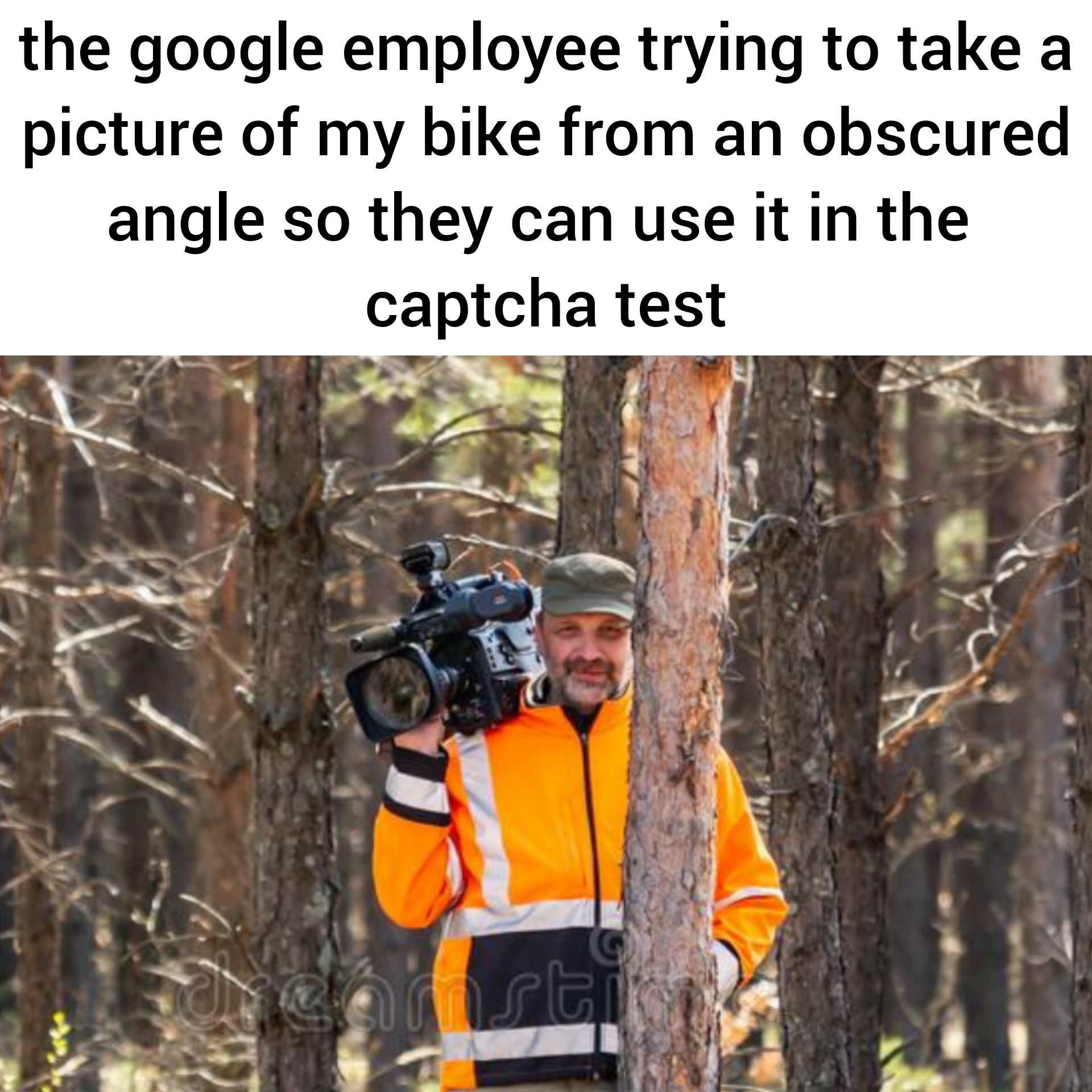dank memes - tree - the google employee trying to take a picture of my bike from an obscured angle so they can use it in the captcha test consti
