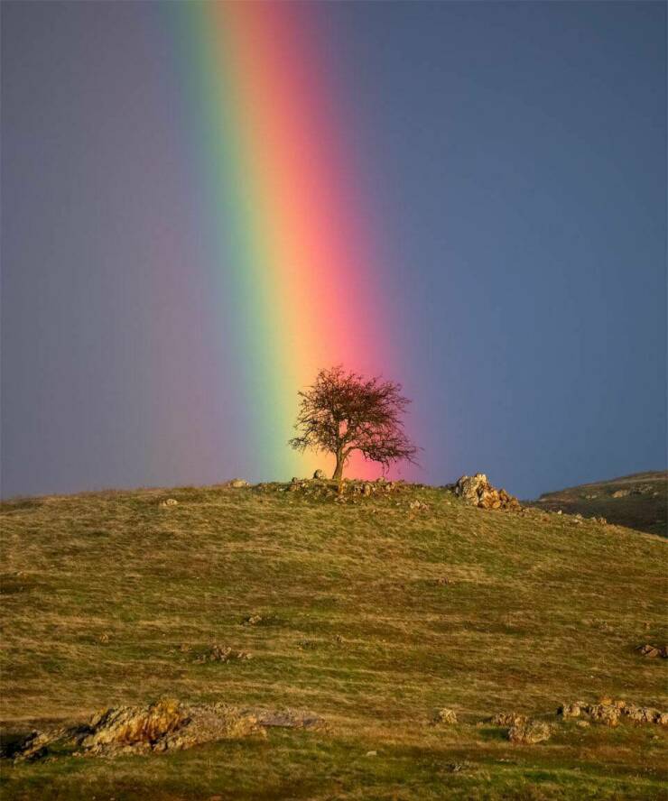 cool random pics - Rainbow