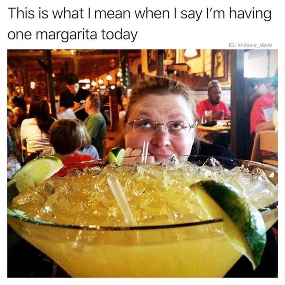 funny pics and memes - drink - This is what I mean when I say I'm having one margarita today Ig