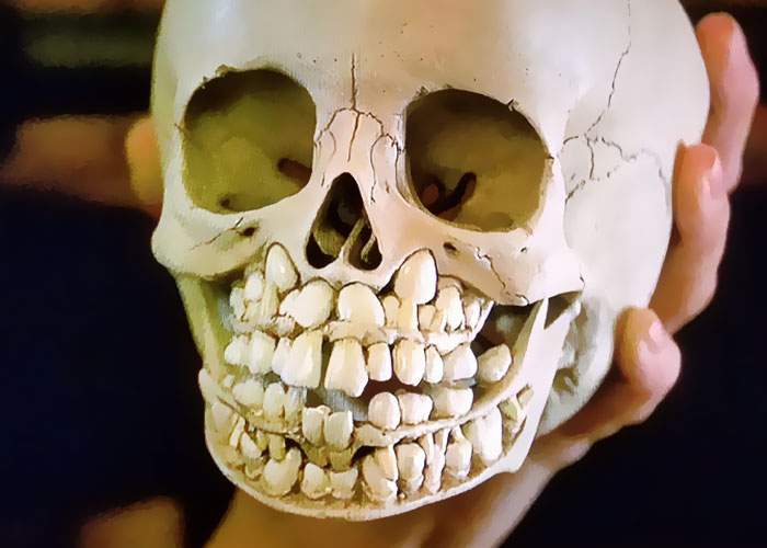 wtf facts with no fun in them - babys skull - Dyn