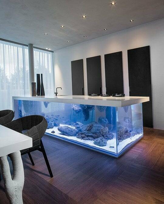 "Forget putting a fish tank ON the the counter, put a fish tank IN the counter!"