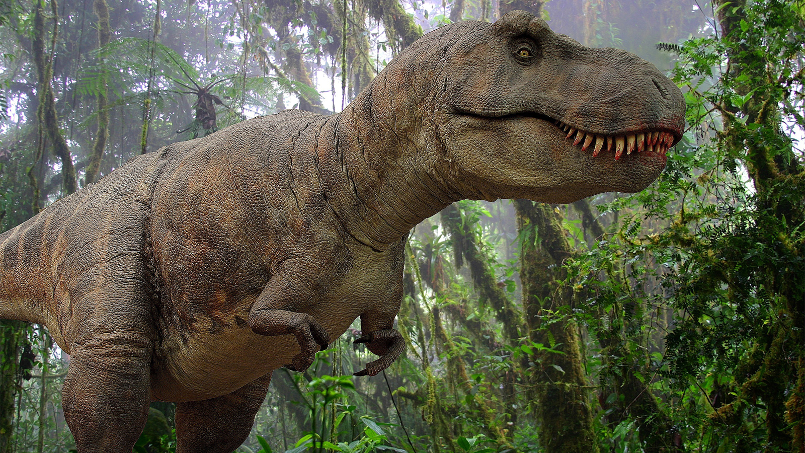 historical events that coincided - tyrannosaurus rex