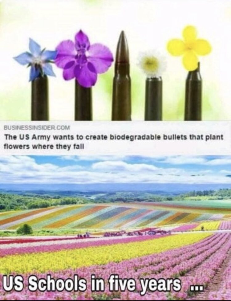 Local man memes and pics - us army wants to create biodegradable bullets -