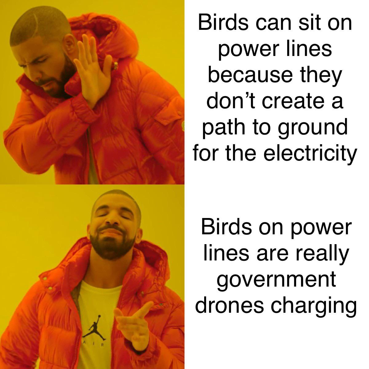 dank memes - someone doesn t love you - Marks X Air Birds can sit on power lines because they don't create a path to ground for the electricity Birds on power lines are really government drones charging