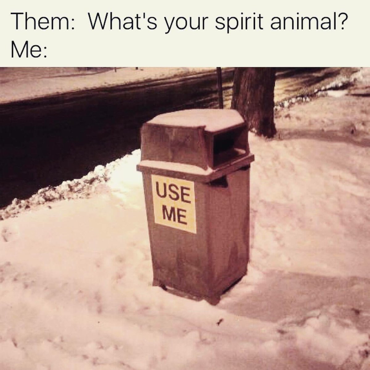 do people use me memes - Them What's your spirit animal? Me Use Me
