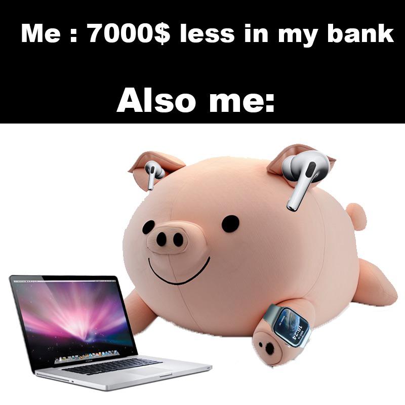funny memes and pics - us bank - Me 7000$ less in my bank Also me ww