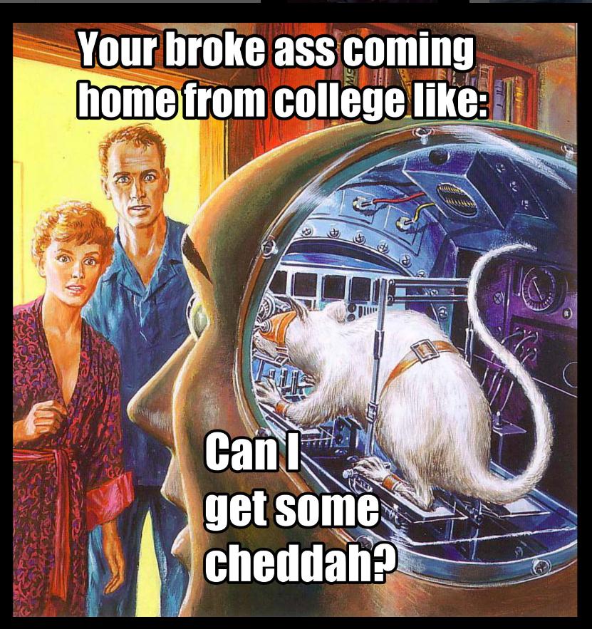 funny memes and pics - rat inside skull - Your broke ass coming home from college 0 Can I get some cheddah? 19