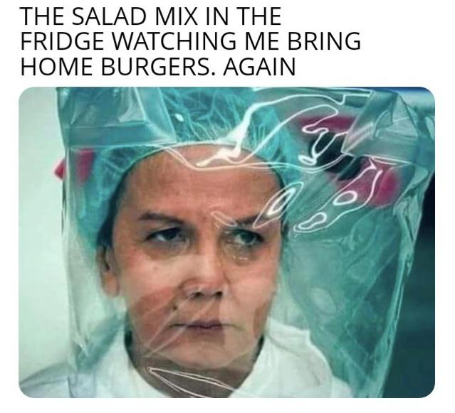 funny memes and pics - Funny meme - The Salad Mix In The Fridge Watching Me Bring Home Burgers. Again 80