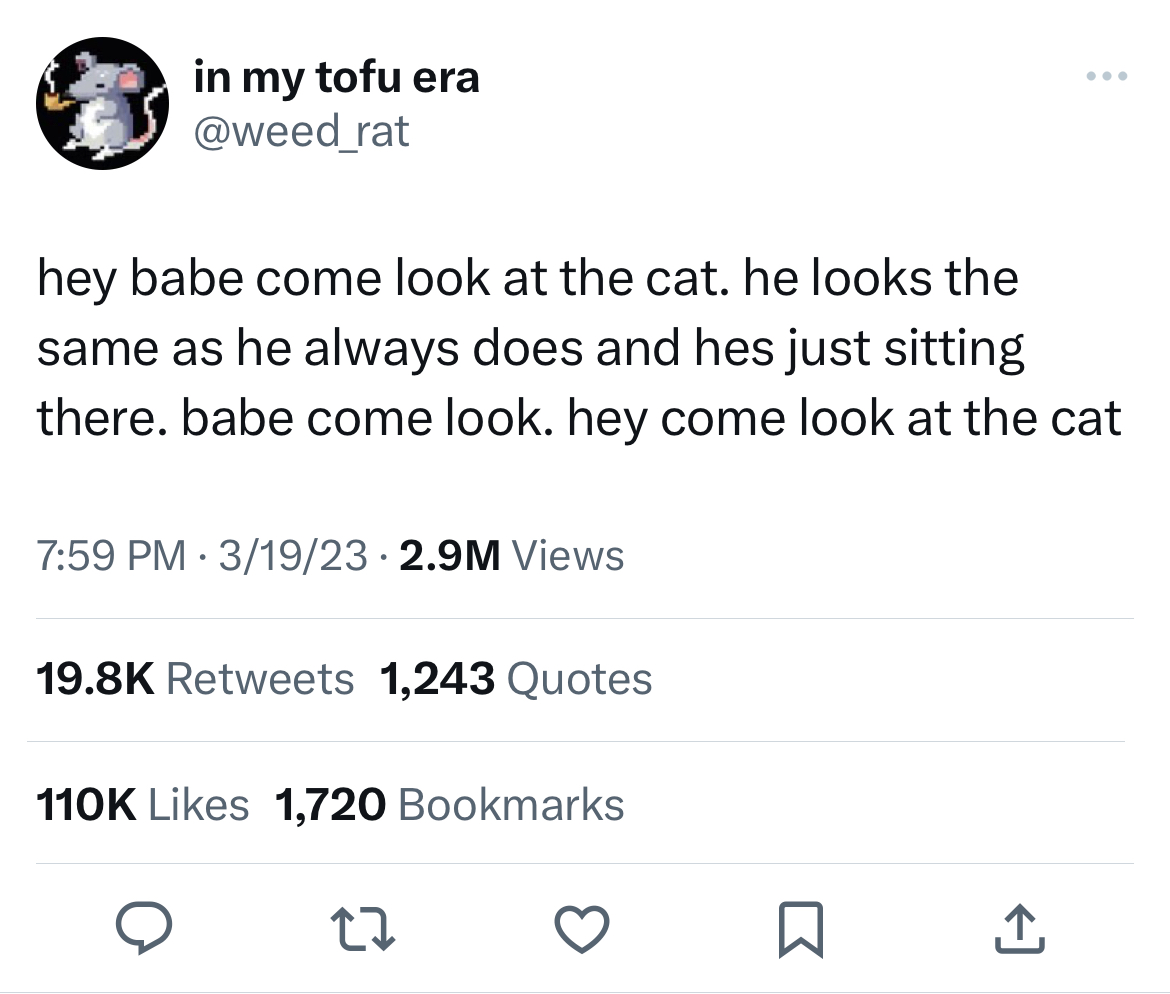 savage tweets - News - in my tofu era hey babe come look at the cat. he looks the same as he always does and hes just sitting there. babe come look. hey come look at the cat 31923 2.9M Views 1,243 Quotes 1,720 Bookmarks 27