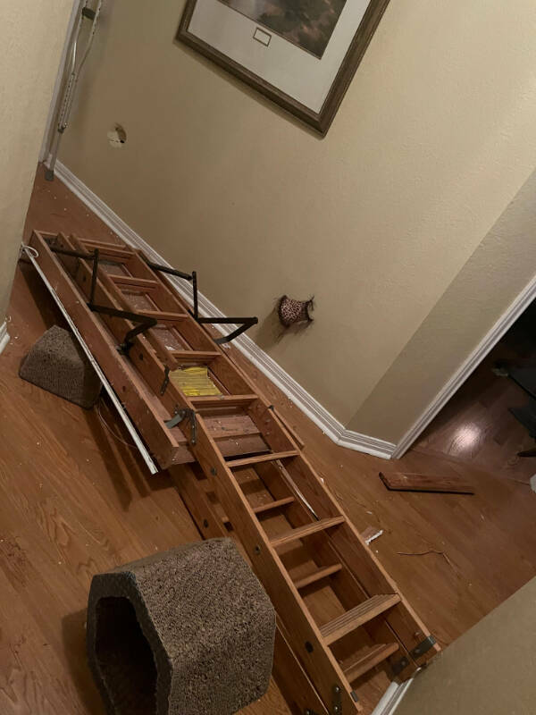 “Was on the top step when it suddenly gave way. Attic access ladder.”