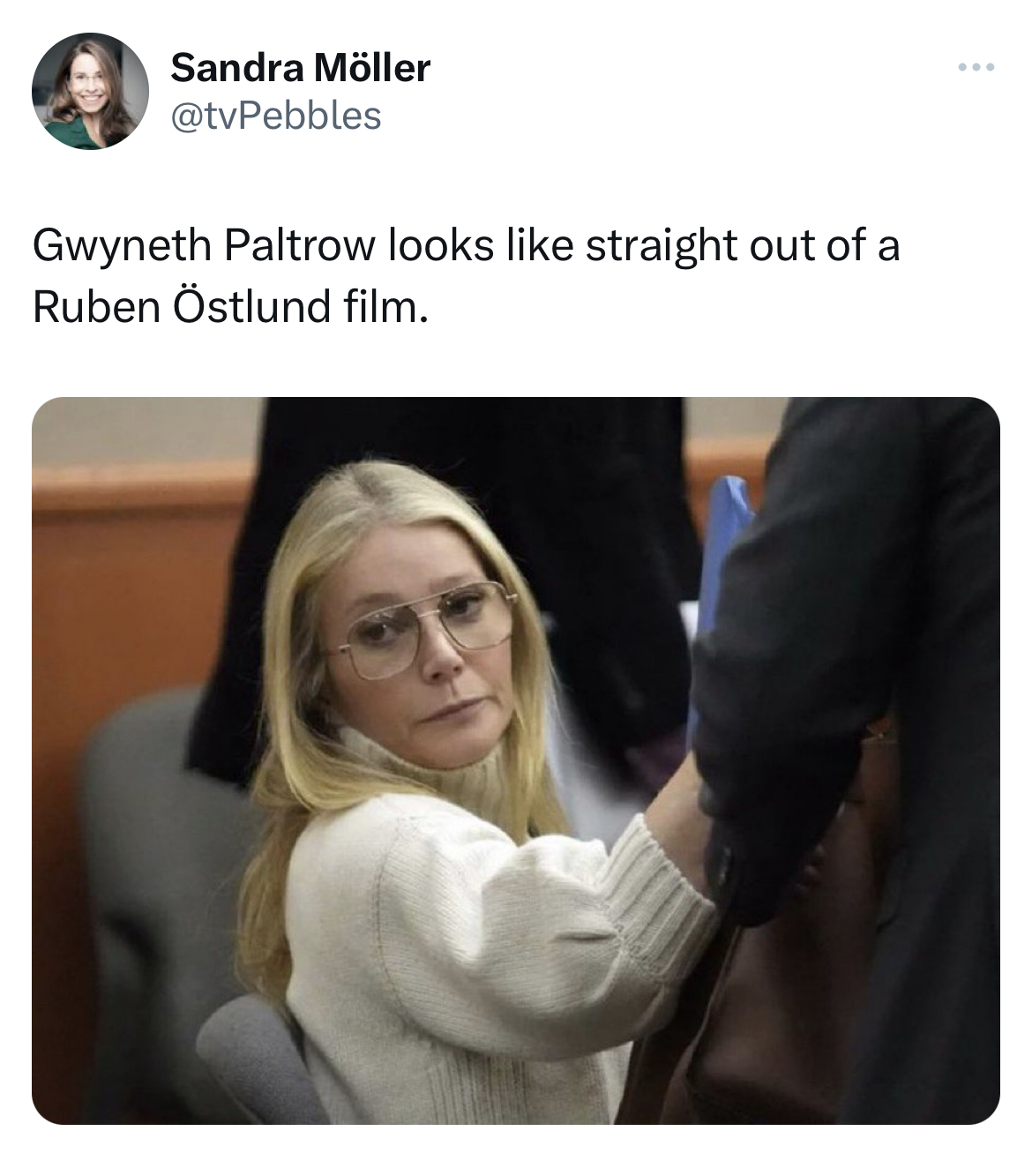 Gwyneth Paltrow Jeffrey Dahmer memes - Gwyneth Paltrow - Sandra Mller Gwyneth Paltrow looks straight out of a Ruben stlund film.