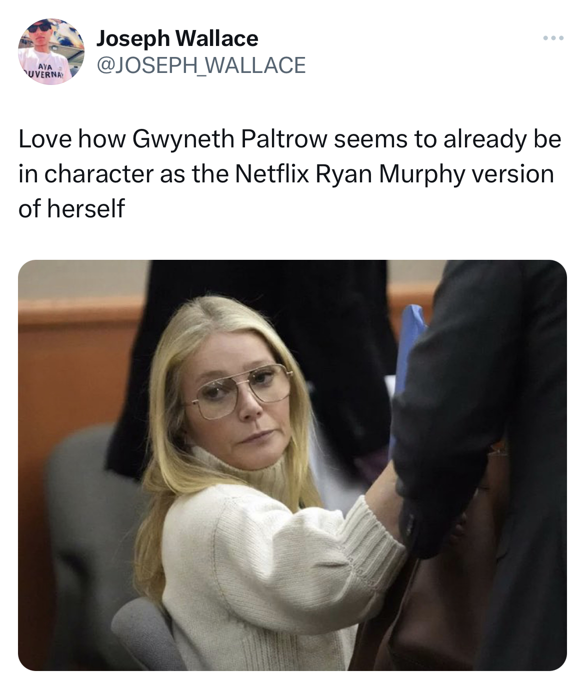 Gwyneth Paltrow Jeffrey Dahmer memes - Gwyneth Paltrow - Uverna Joseph Wallace Wallace Love how Gwyneth Paltrow seems to already be in character as the Netflix Ryan Murphy version of herself