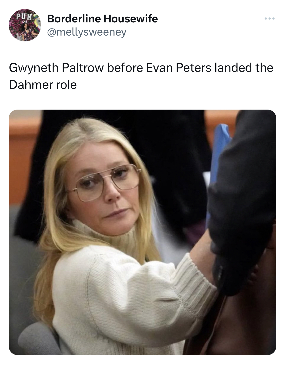 Gwyneth Paltrow Jeffrey Dahmer memes - Gwyneth Paltrow - Borderline Housewife Gwyneth Paltrow before Evan Peters landed the Dahmer role