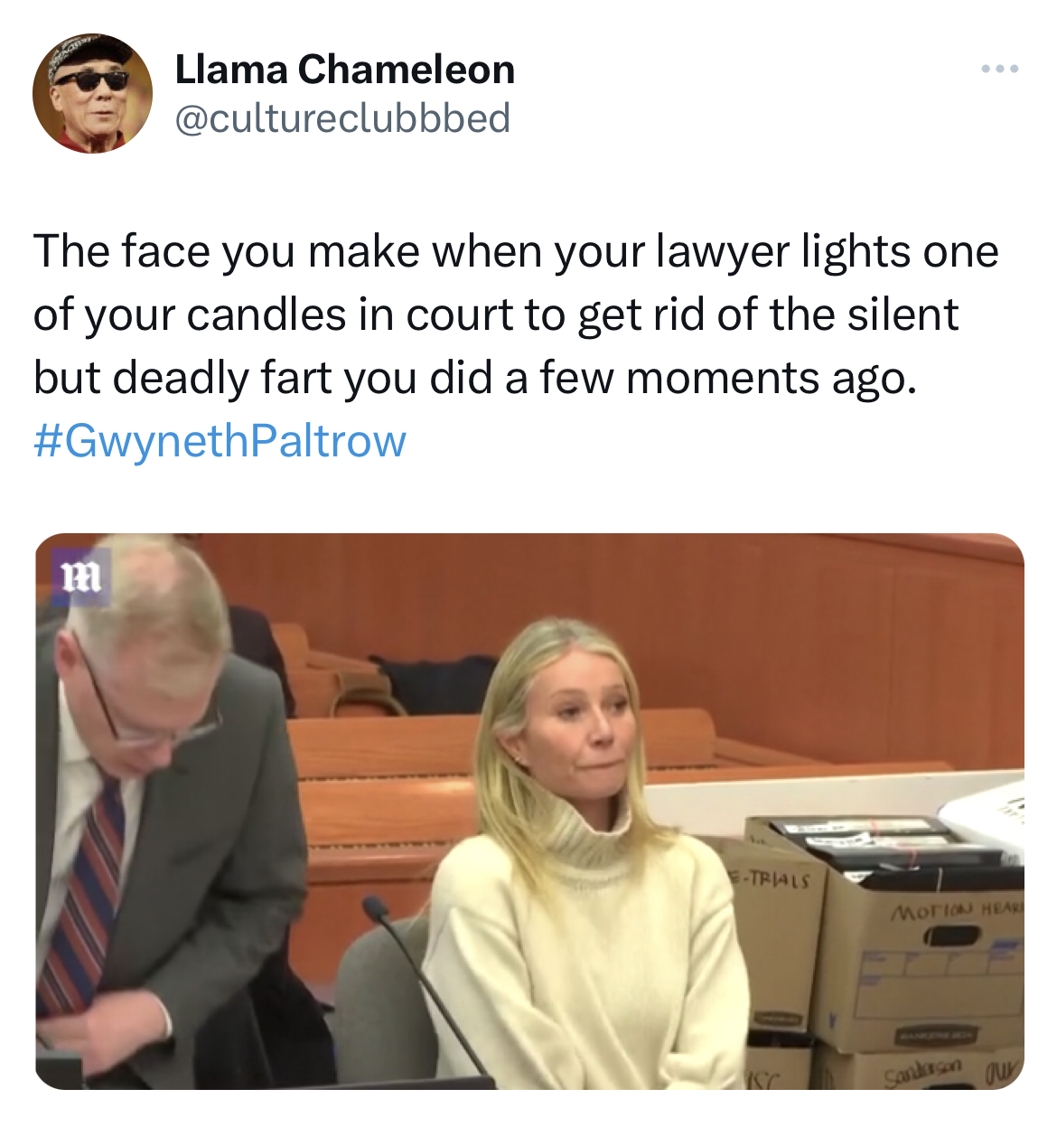Gwyneth Paltrow Jeffrey Dahmer memes - presentation - Llama Chameleon The face you make when your lawyer lights one of your candles in court to get rid of the silent but deadly fart you did a few moments ago. Paltrow m Triale Mortal Sandrun our