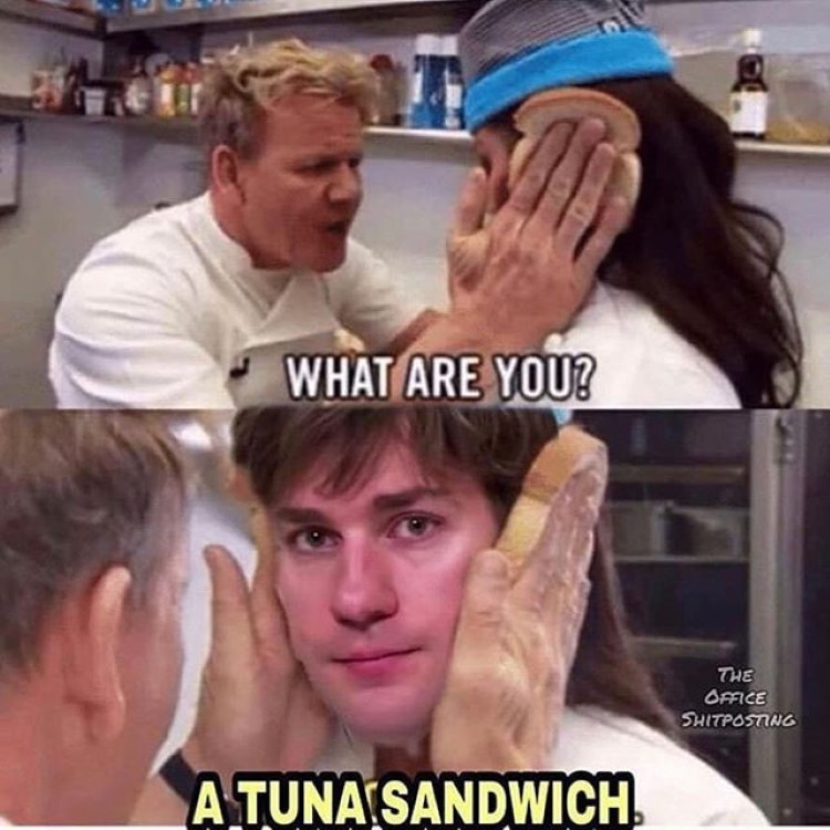 office memes - Funny meme - What Are You? A Tuna Sandwich The Office Shitposting