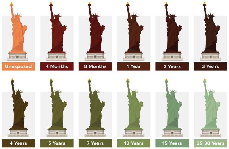 infographs and charts -color statue of liberty copper - Unexposed 4 Years 4 Months 5 Years 8 Months 7 Years 1 Year 10 Years 2 Years 15 Years 3 Years 2530 Years