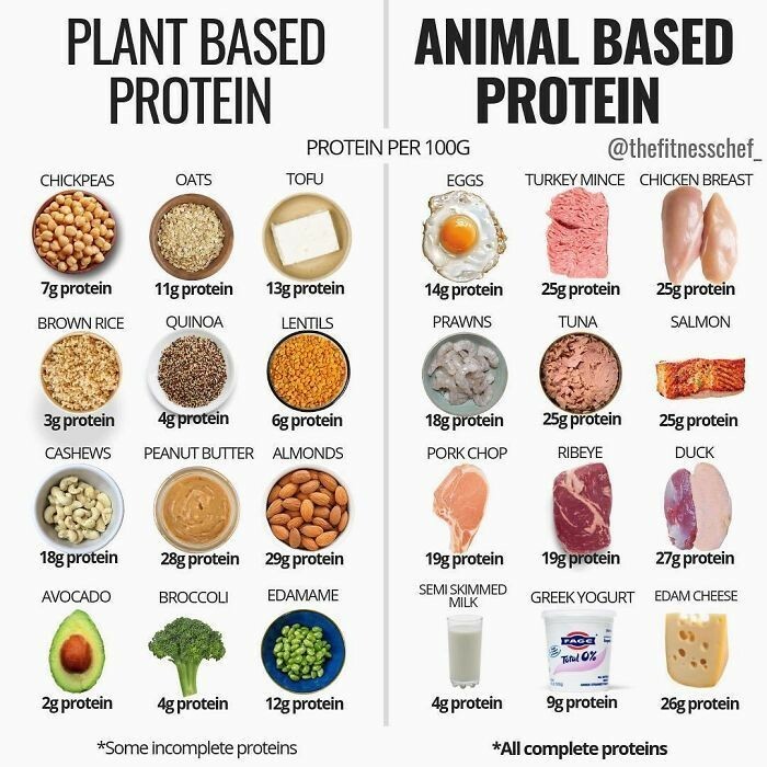 infographs and charts -plant based protein and animal based protein - Plant Based Protein Chickpeas 7g protein Brown Rice 3g protein Cashews 18g protein Avocado Oats 11g protein Quinoa 28g protein Broccoli 4g protein 6g protein Peanut Butter Almonds 2g pr