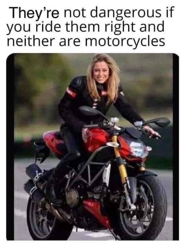 spicy sex memes - they are not dangerous if you ride them right - They're not dangerous if you ride them right and neither are motorcycles