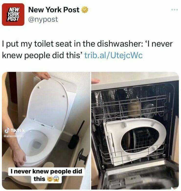 cool random photos - toilet seat dishwasher - New New York Post Post I put my toilet seat in the dishwasher 'I never knew people did this' trib.alUtejcWc Tik Tok I never knew people did this ... 72222