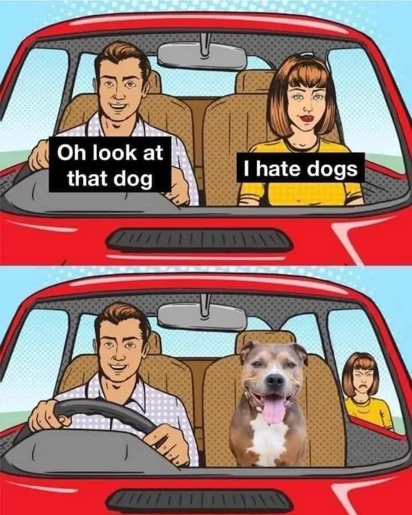 hate dogs meme car - Oh look at that dog 77111 I hate dogs