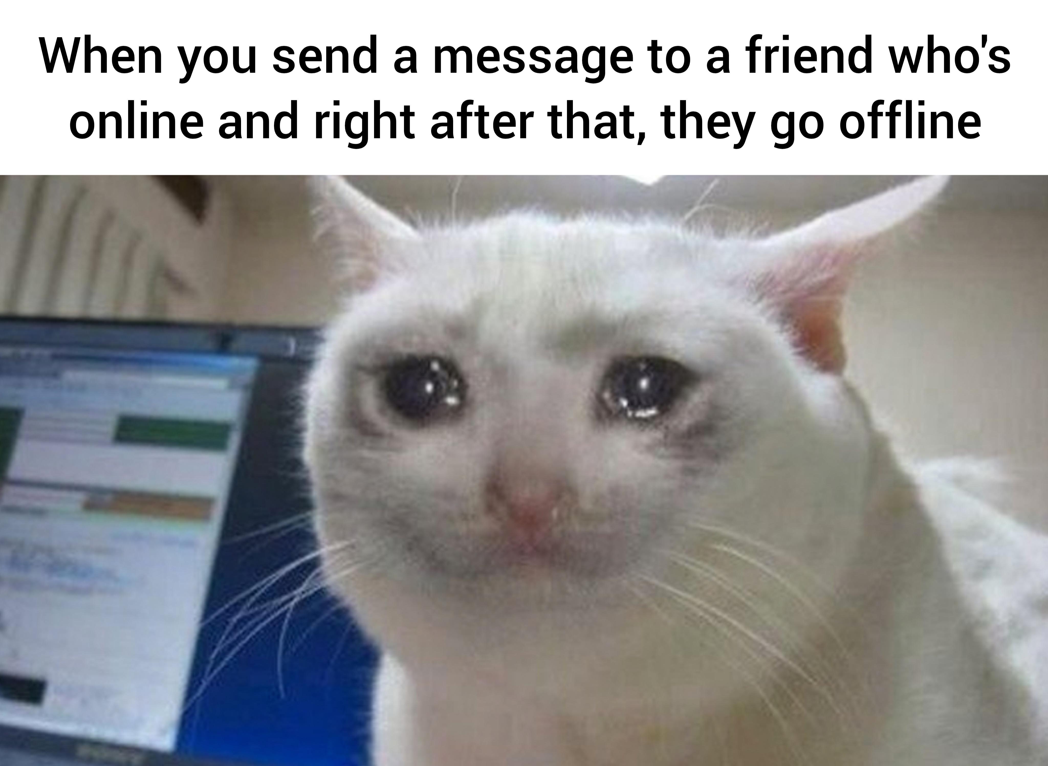 gaming memes for all - photo caption - When you send a message to a friend who's online and right after that, they go offline