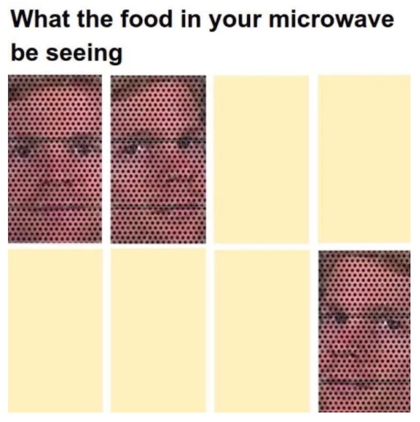 monday morning randomness - pattern - What the food in your microwave be seeing