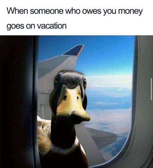 monday morning randomness - anatidaephobia meme - When someone who owes you money goes on vacation
