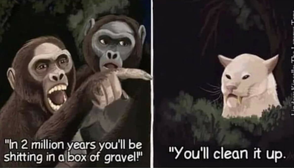 funny memes and pics  - Internet meme - "In 2 million years you'll be shitting in a box of gravel!" "You'll clean it up.