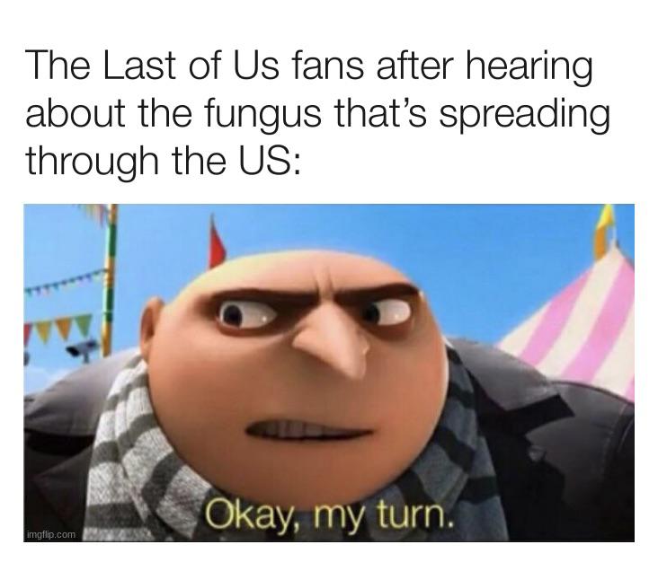 funny memes and pics  - terms of memes - The Last of Us fans after hearing about the fungus that's spreading through the Us imgflip.com Okay, my turn.