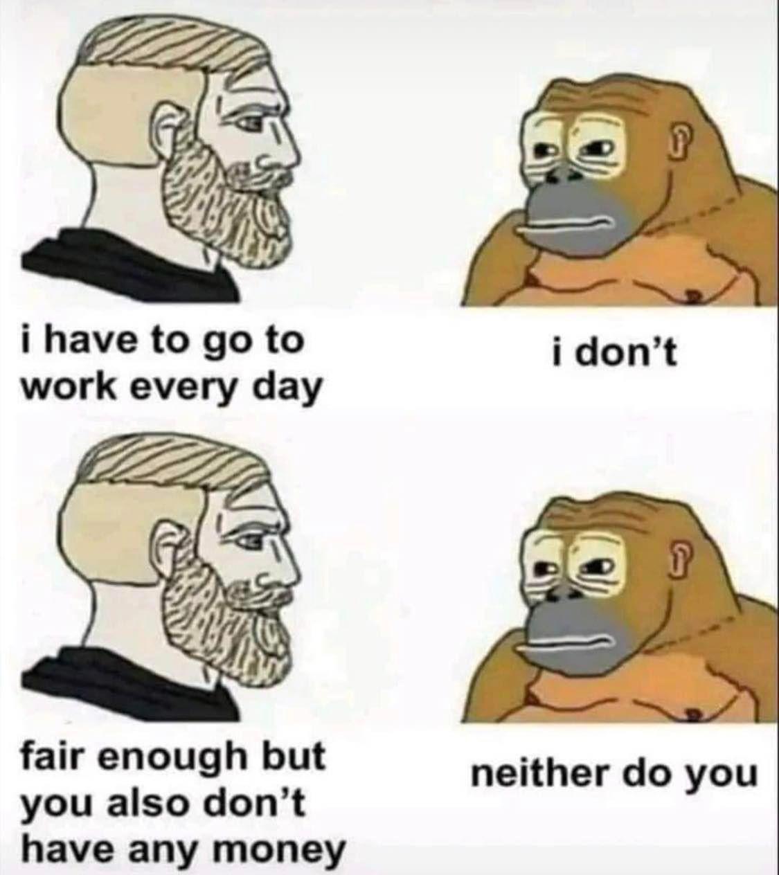 funny memes and pics  - meme monkey you dont have money - i have to go to work every day fair enough but you also don't have any money i don't neither do you