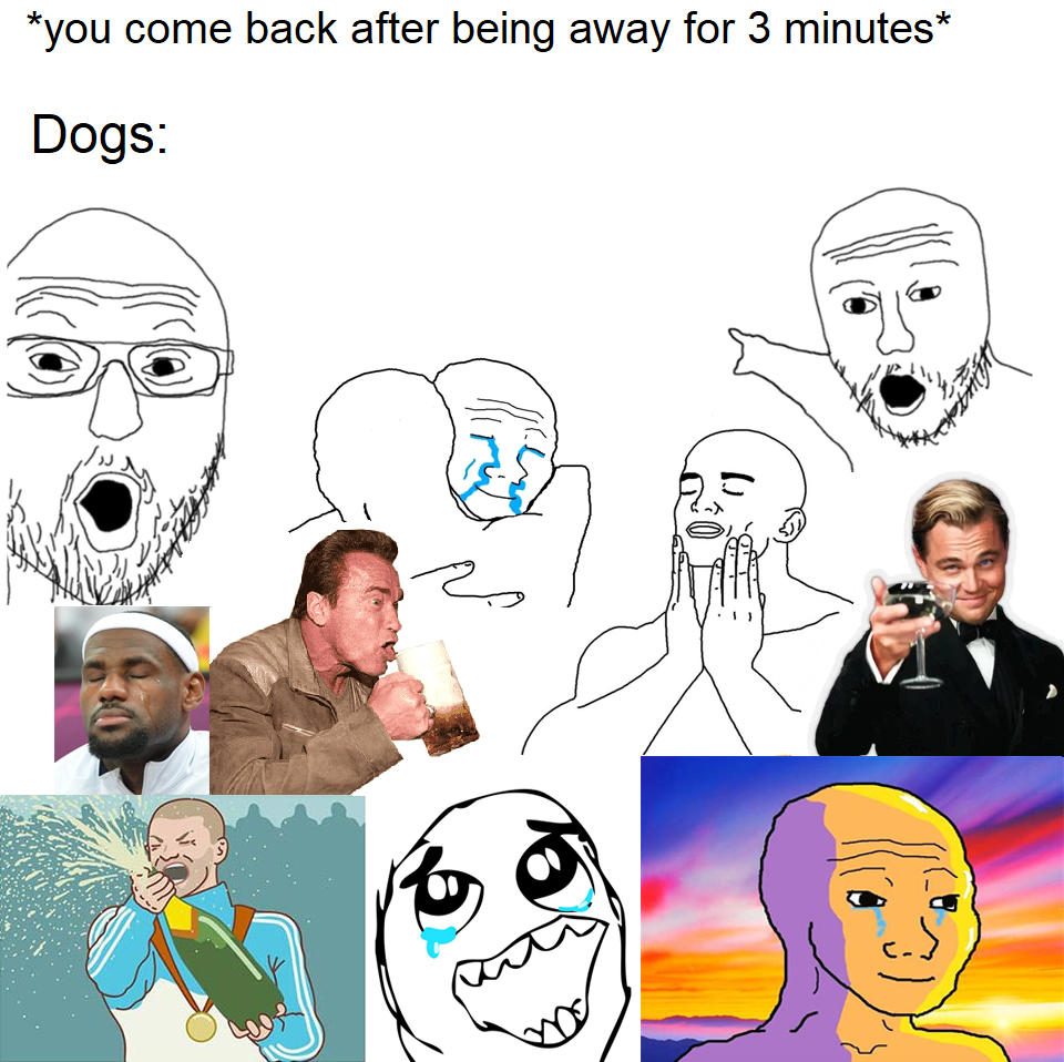 funny memes and pics  - cartoon - you come back after being away for 3 minutes Dogs i d U