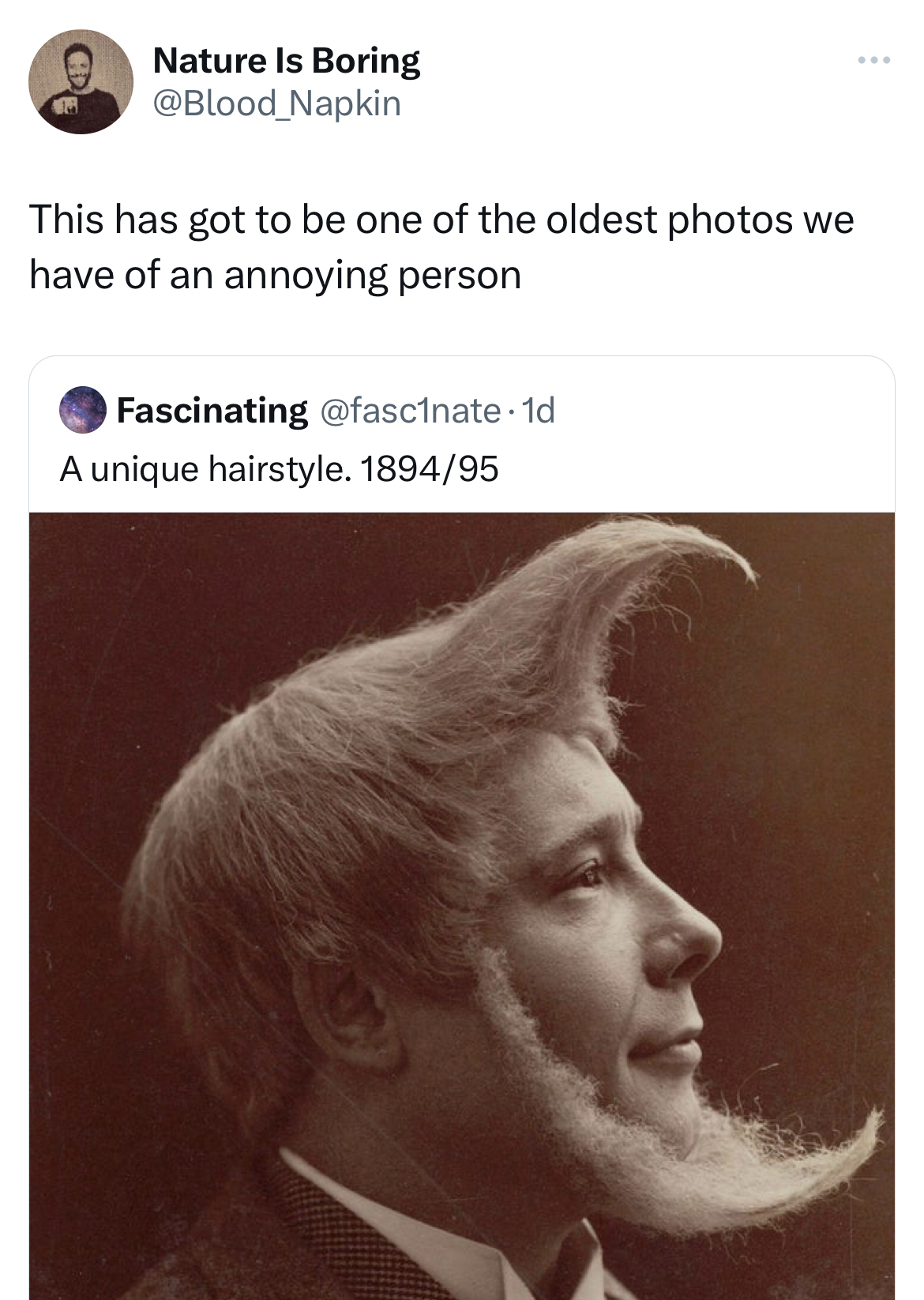 savage and absurd tweets - john garrideb - Nature Is Boring Napkin This has got to be one of the oldest photos we have of an annoying person Fascinating .1d A unique hairstyle. 189495