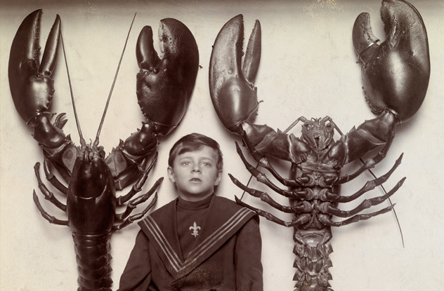 fascinating historical photos - old lobsters -