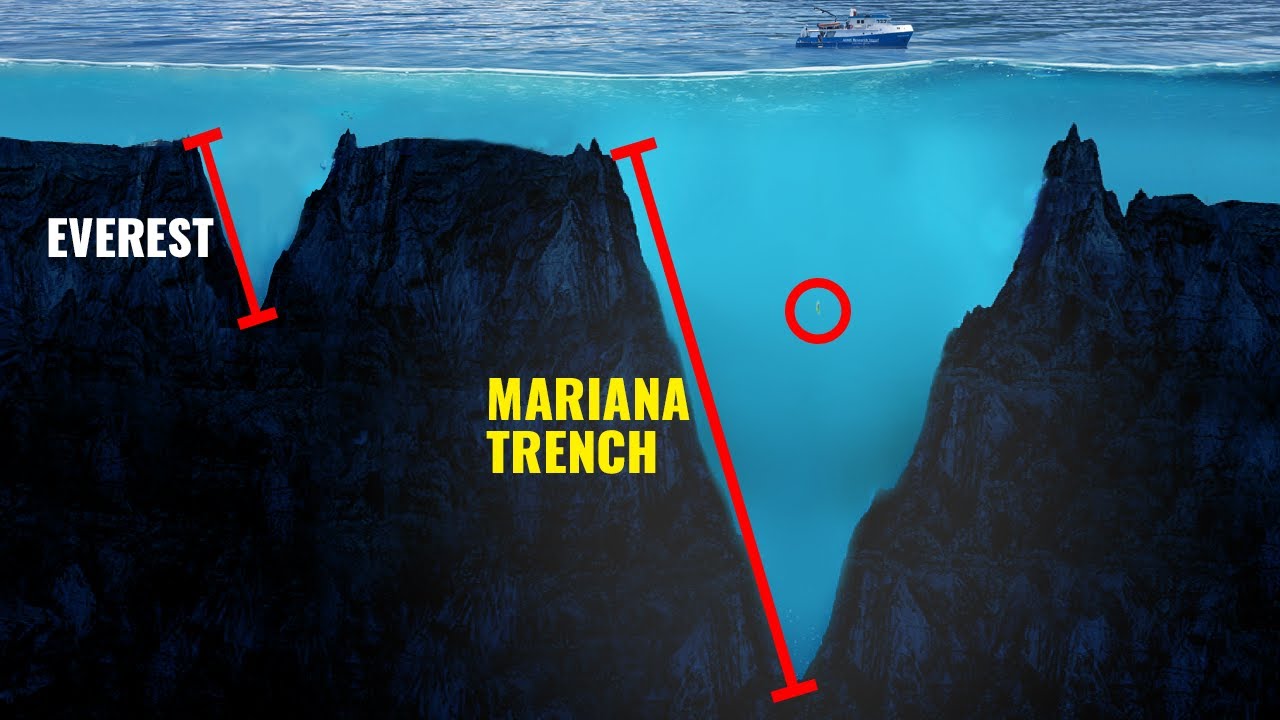 horrifying scientific facts - Everest Mariana Trench