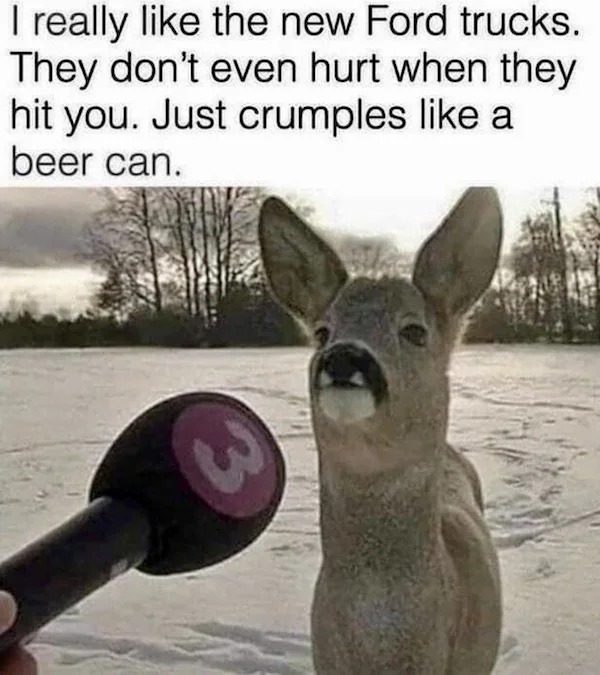 relatable memes - interview deer meme - I really the new Ford trucks. They don't even hurt when they hit you. Just crumples a beer can. 3