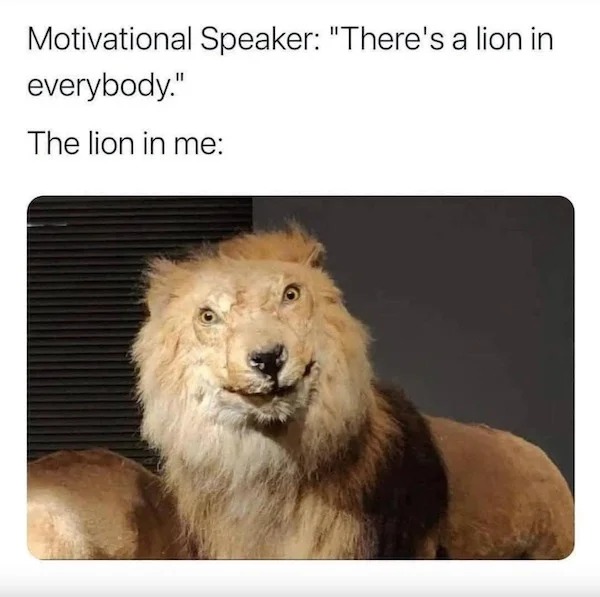 relatable memes - there's a lion in everyone - Motivational Speaker "There's a lion in everybody." The lion in me