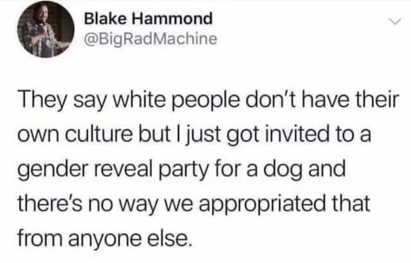 relatable memes - box sheet egg - Blake Hammond They say white people don't have their own culture but I just got invited to a gender reveal party for a dog and there's no way we appropriated that from anyone else.