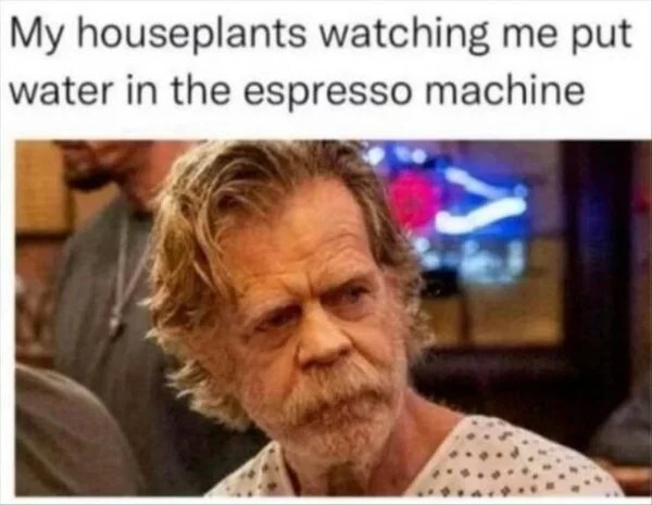 relatable memes - photo caption - My houseplants watching me put water in the espresso machine A