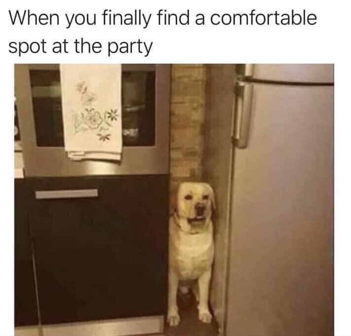 cool pics and memes - comfort level meme - When you finally find a comfortable spot at the party