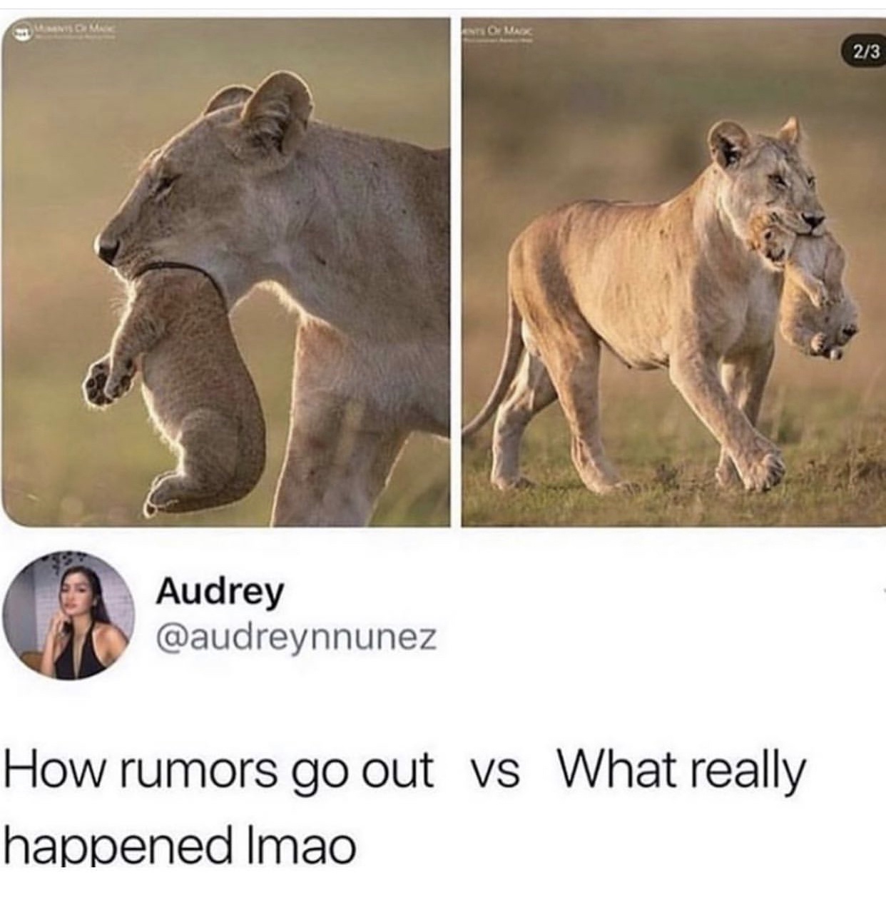 cool pics and memes - actually happened meme - Mac Audrey Ents Of Madc How rumors go out vs What really happened Imao 23