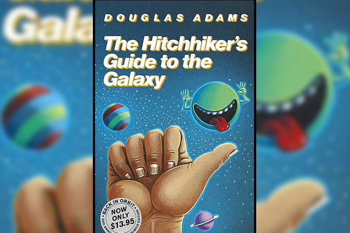 A handbag, containing a disposable camera, a towel and a copy of Hitchhiker's Guide To The Galaxy.