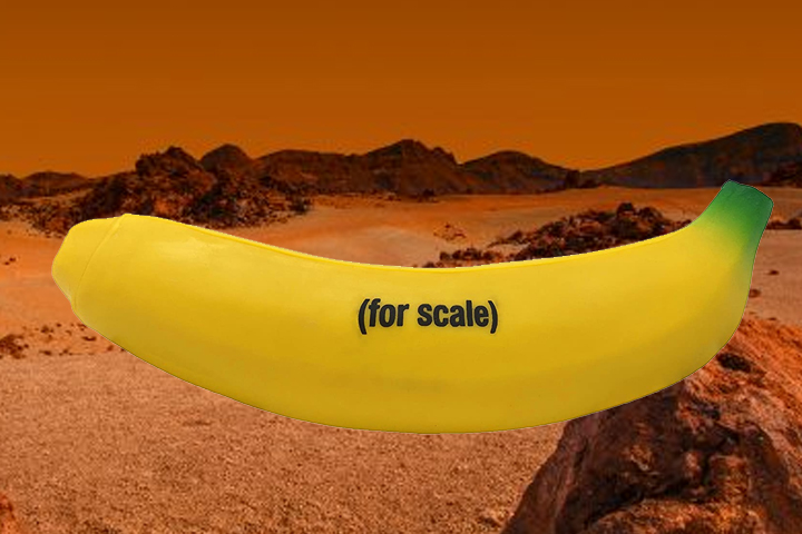 A banana for scale.